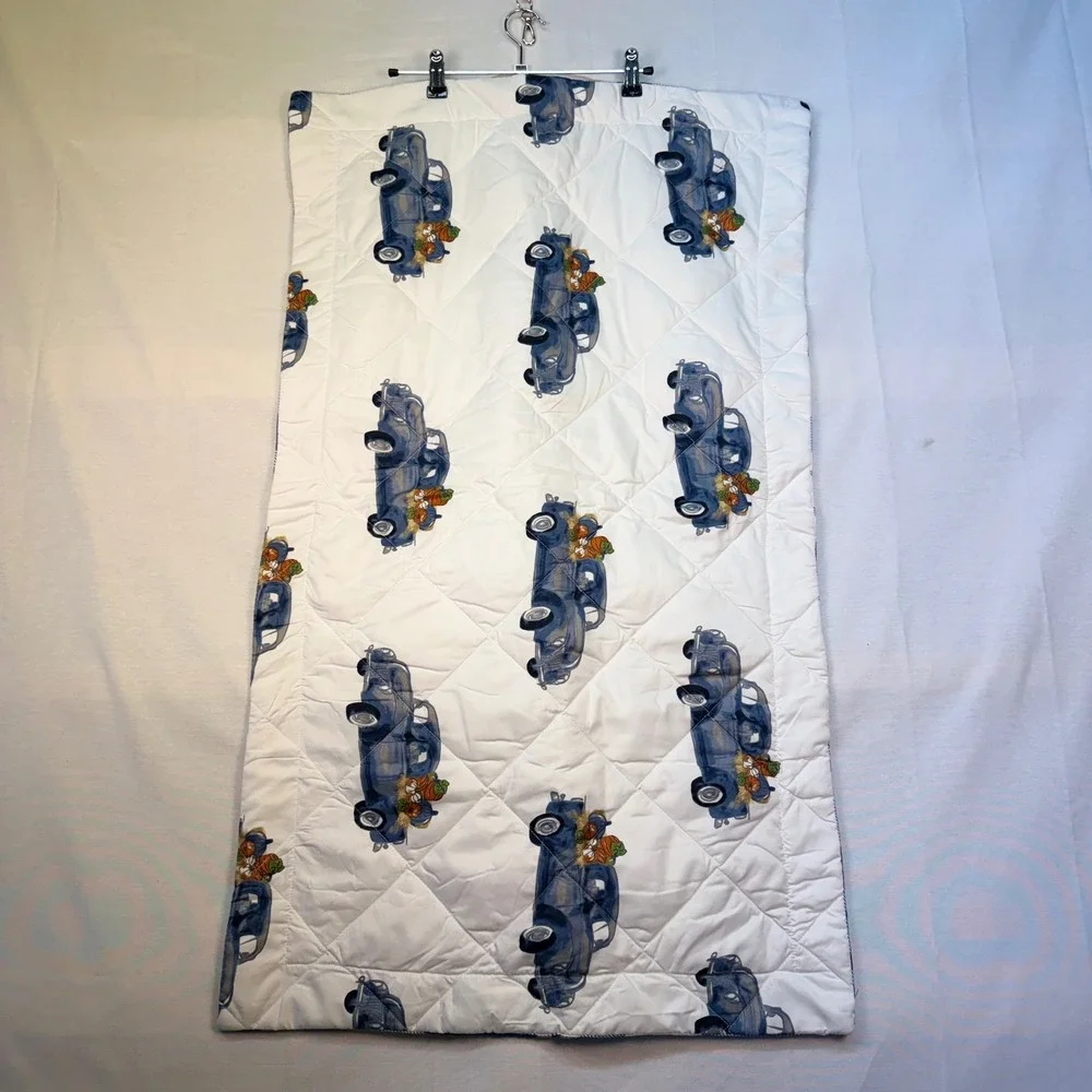 Modern Southern Home Blue Truck Pumpkin Quilted Pillow Shams Set of 2 Farmhouse